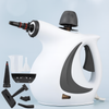 Eraseluxe Pressurized Steam Cleaner