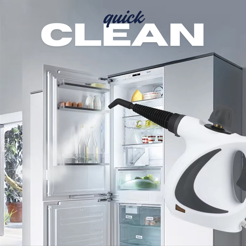 Eraseluxe Pressurized Steam Cleaner