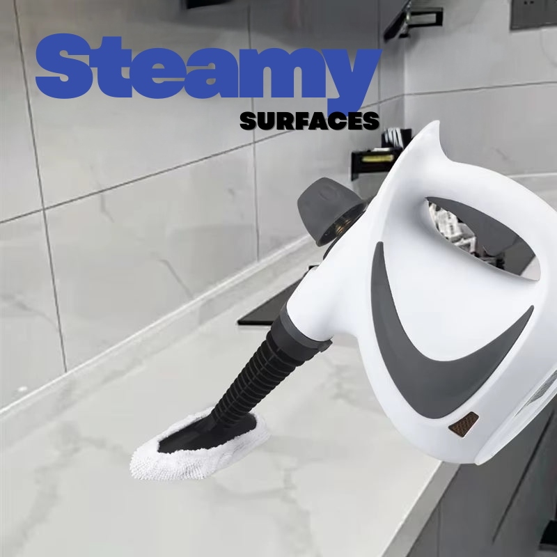 Eraseluxe Pressurized Steam Cleaner